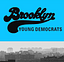 Image of Brooklyn Young Democrats Inc.