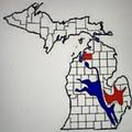 Image of Antrim County Democratic Party (MI)