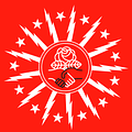 Image of Buffalo DSA