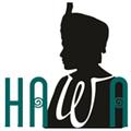 Image of Hmong American Women's Association, inc.