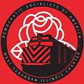 Image of West Suburban Illinois DSA