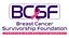 Image of Breast Cancer Survivorship Foundation