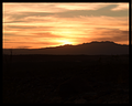 Desert Sun 2