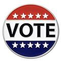 Lapel Pin: "Vote"