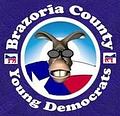 Image of Brazoria County Young Democrats