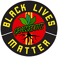 Image of Black Lives Matter Grassroots