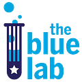 Image of Blue Lab New Hampshire