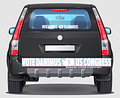 VOTE DANIMUS Window Sticker