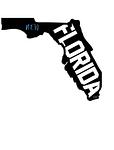 Image of New Florida