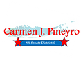Image of Carmen Pineyro