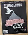 The "All Eyes on Gaza" Issue