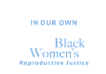 Image of In Our Own Voice: National Black Women’s Reproductive Justice Agenda