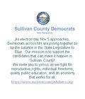 Image of Sullivan County Democratic Party (NH)