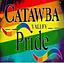 Image of Catawba Valley Pride Inc