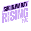 Image of Saginaw Bay Rising