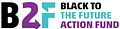 Image of Black to the Future Action Fund