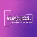 Image of Colectivo Intercultural TRANSgrediendo