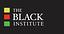 Image of The Black Institute