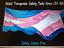 Image of Global Transgender Safety Tasks Force USA Inc