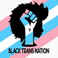 Image of Black Trans Nation
