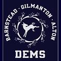 Image of Tri-Town Democrats of Barnstead, Gilmanton, and Alton (NH)
