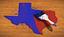 Image of Guadalupe County Democratic Club (TX)