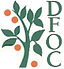 Image of Democratic Foundation of Orange County - Federal