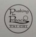 Image of PUSHING FOR PEACE PROJECT