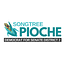 Image of Songtree Pioche
