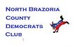 Image of North Brazoria Democrats (TX)