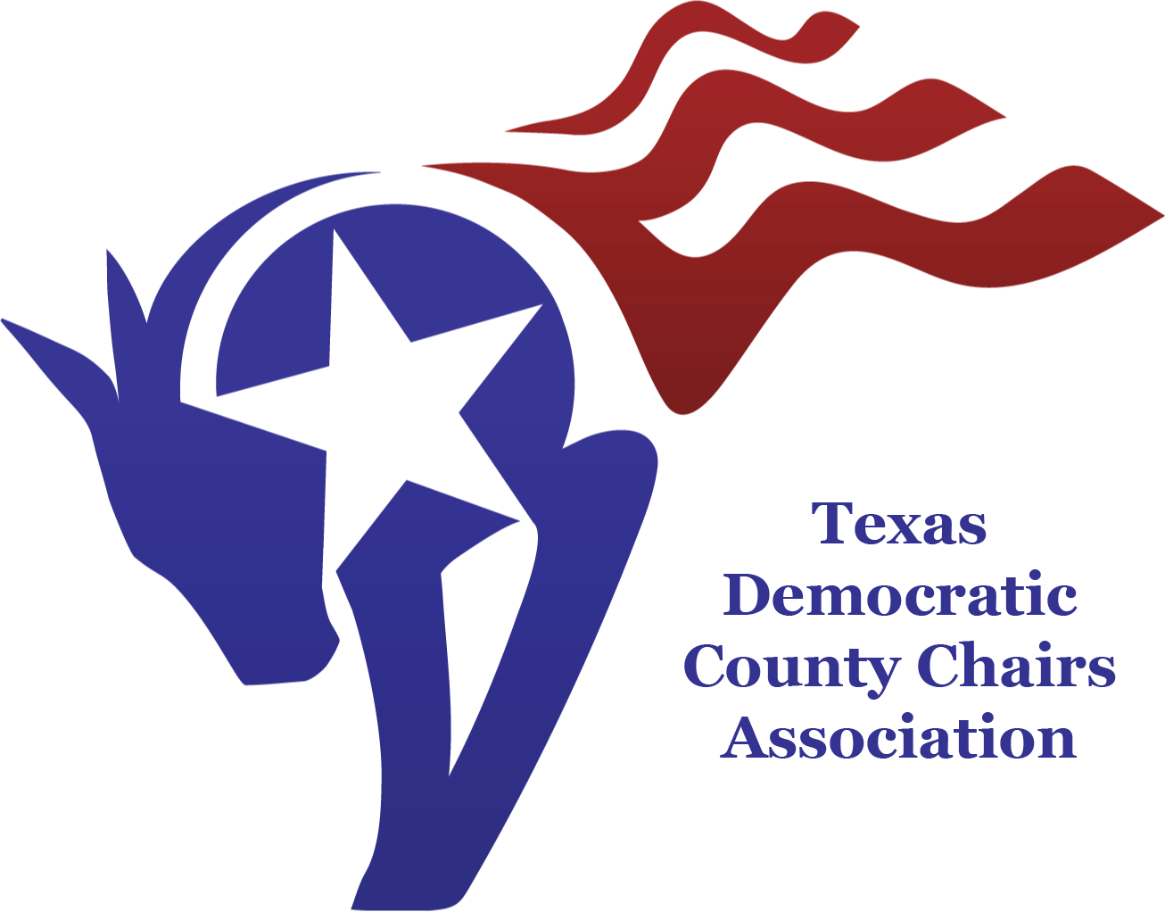 Texas Democratic County Chairs Association