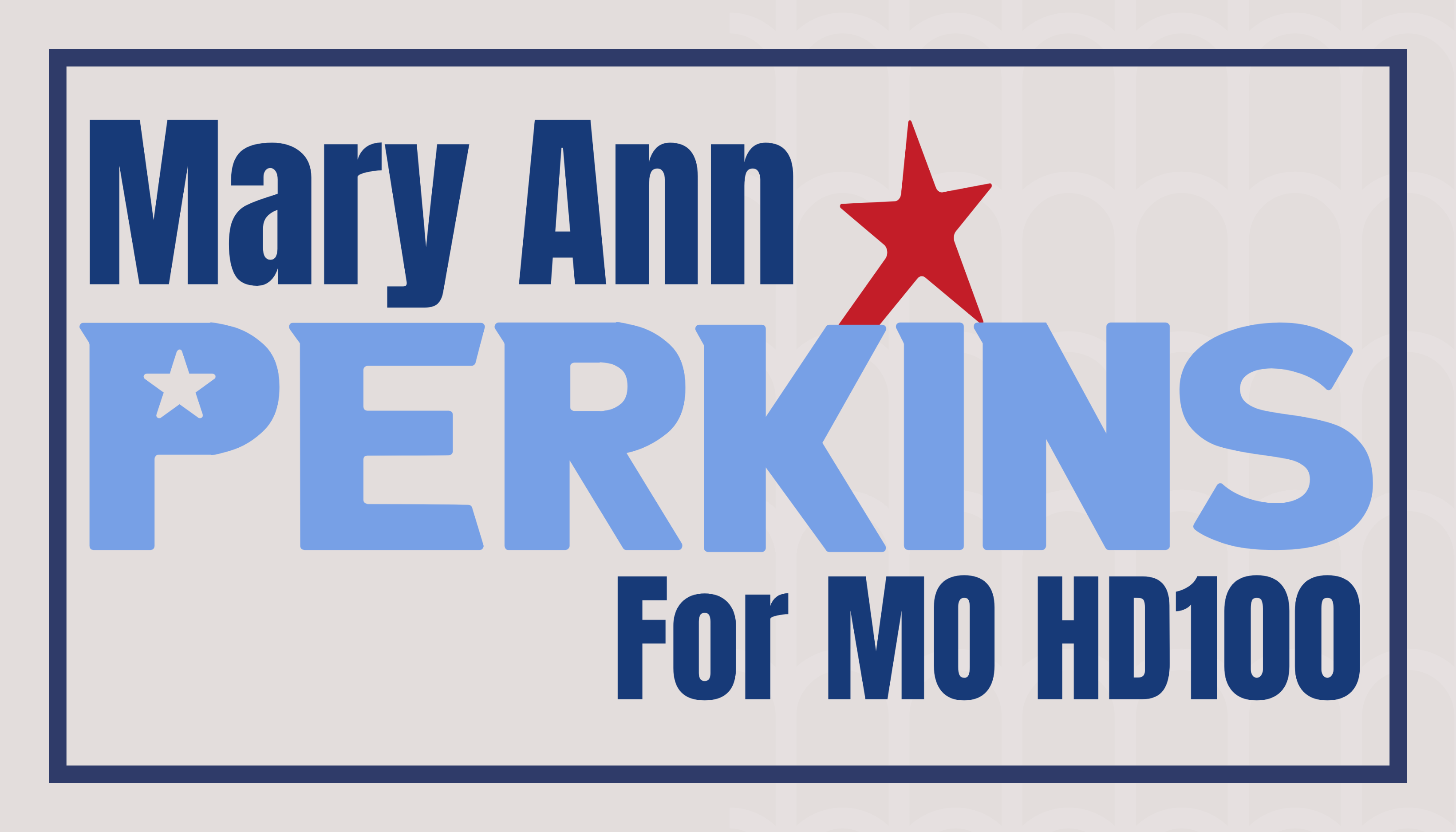 Mary Ann Perkins