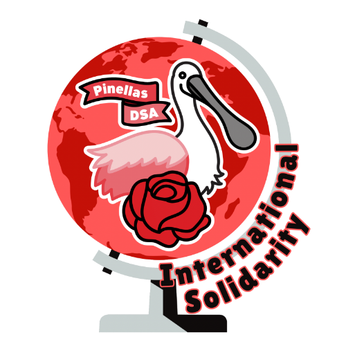 Pinellas DSA Inc