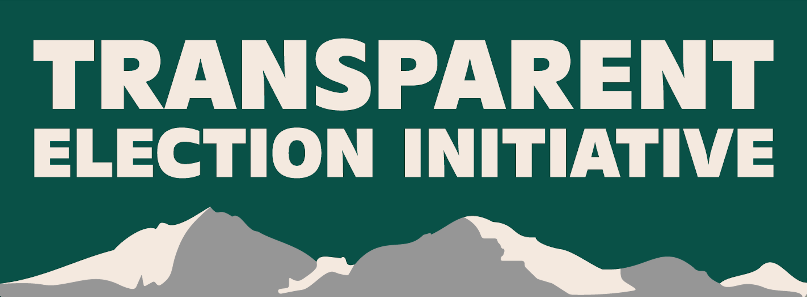Transparent Election Initiative