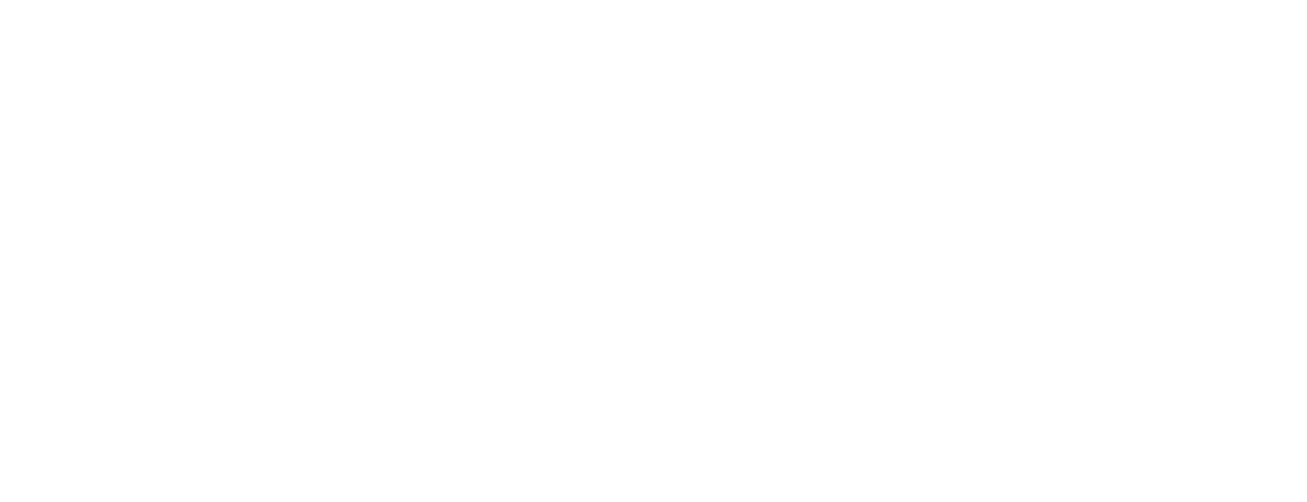 Idaho Democratic State Committee