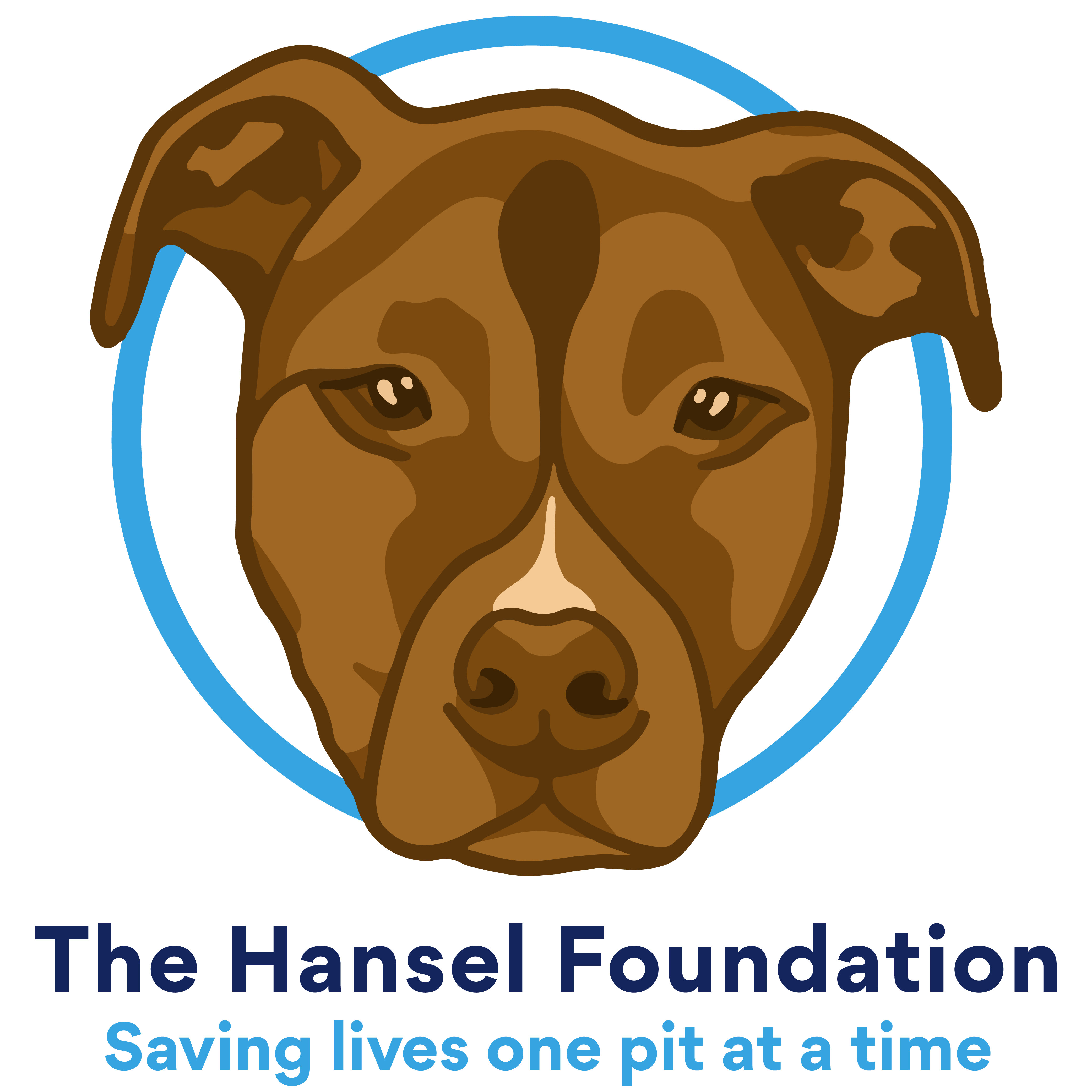 The Hansel Foundation