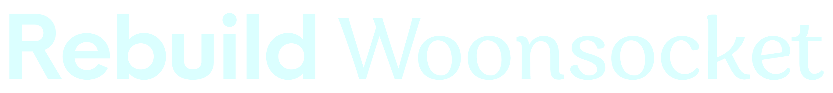 Rebuild Woonsocket (C)(4)