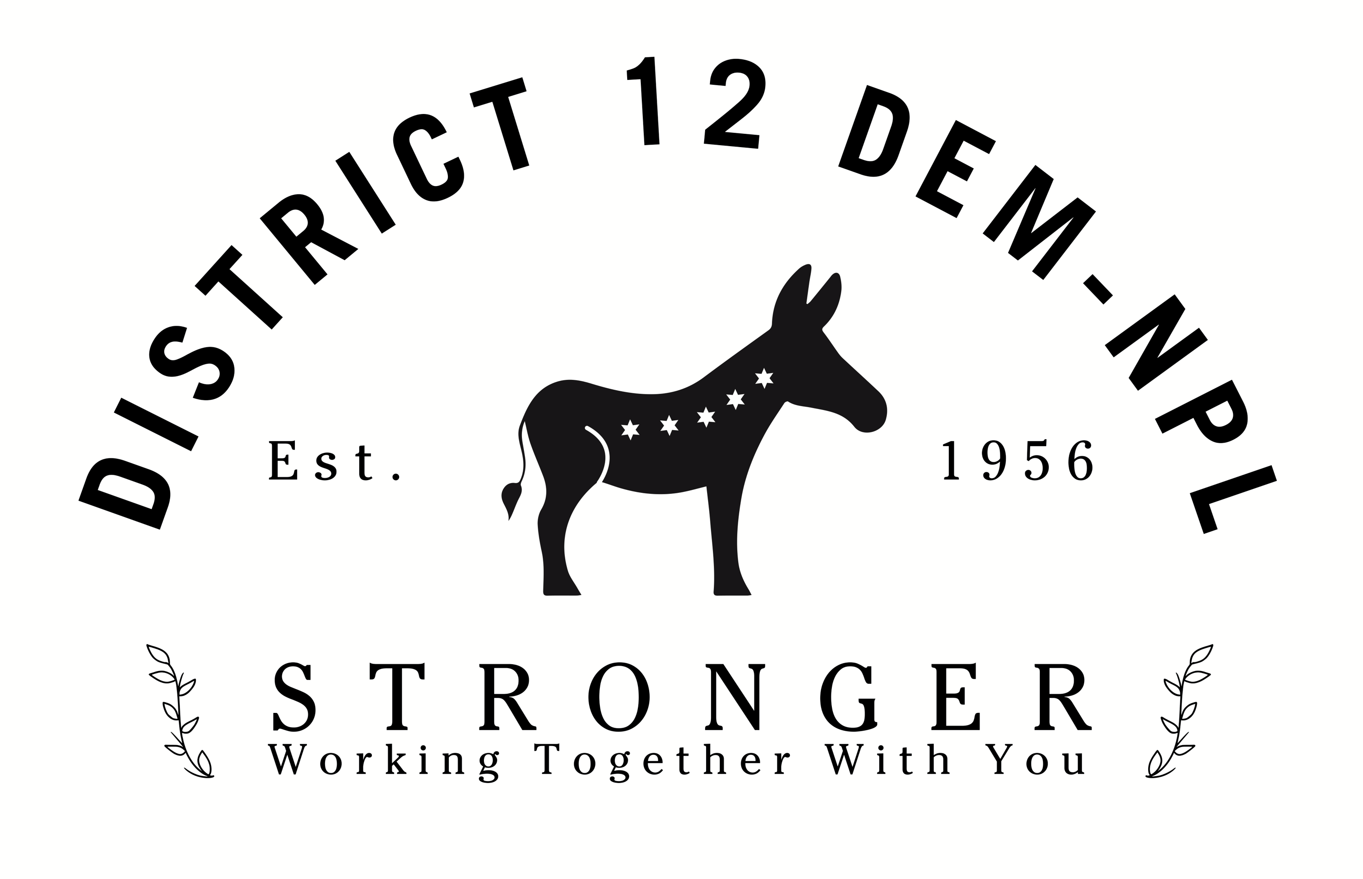 DISTRICT 12 DEMOCRATIC NPL