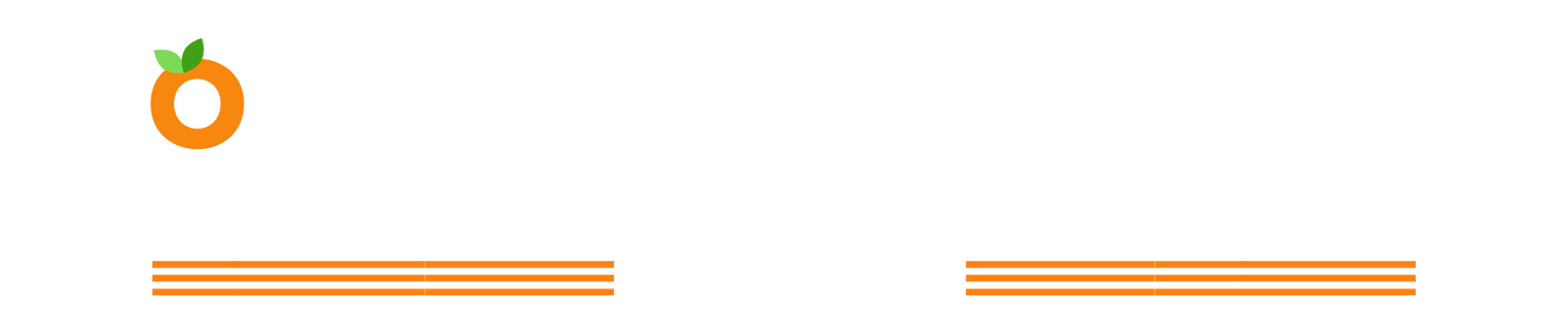Orange County Democratic Executive Committee (FL)