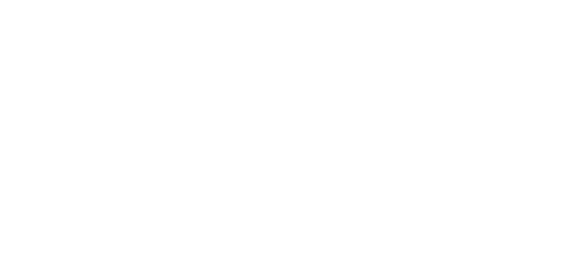 Annie's List Training and Engagement Fund