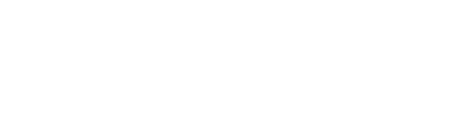 New Disabled South Rising Inc