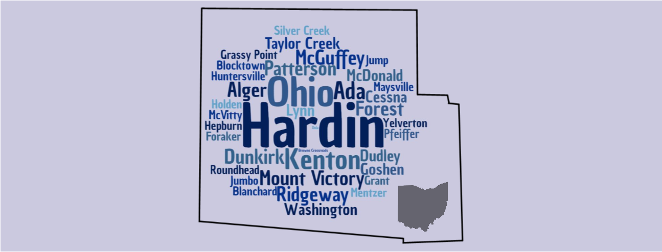 Hardin County Democratic Party (OH)