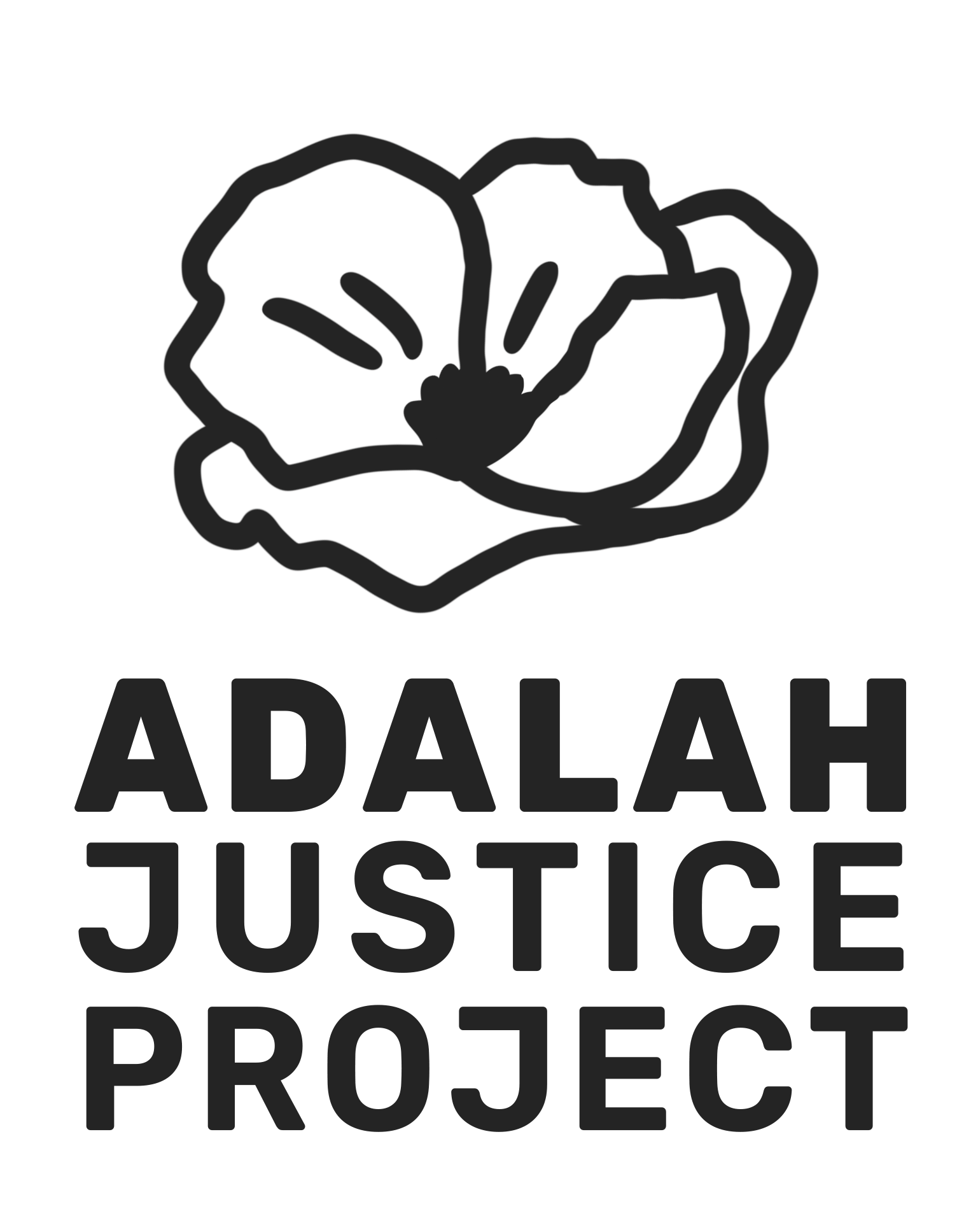 Adalah Justice Project