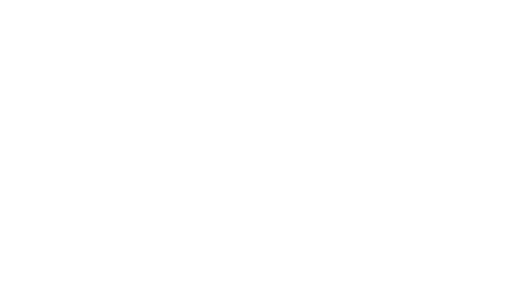 Democratic Executive Committee of Sarasota County (FL)