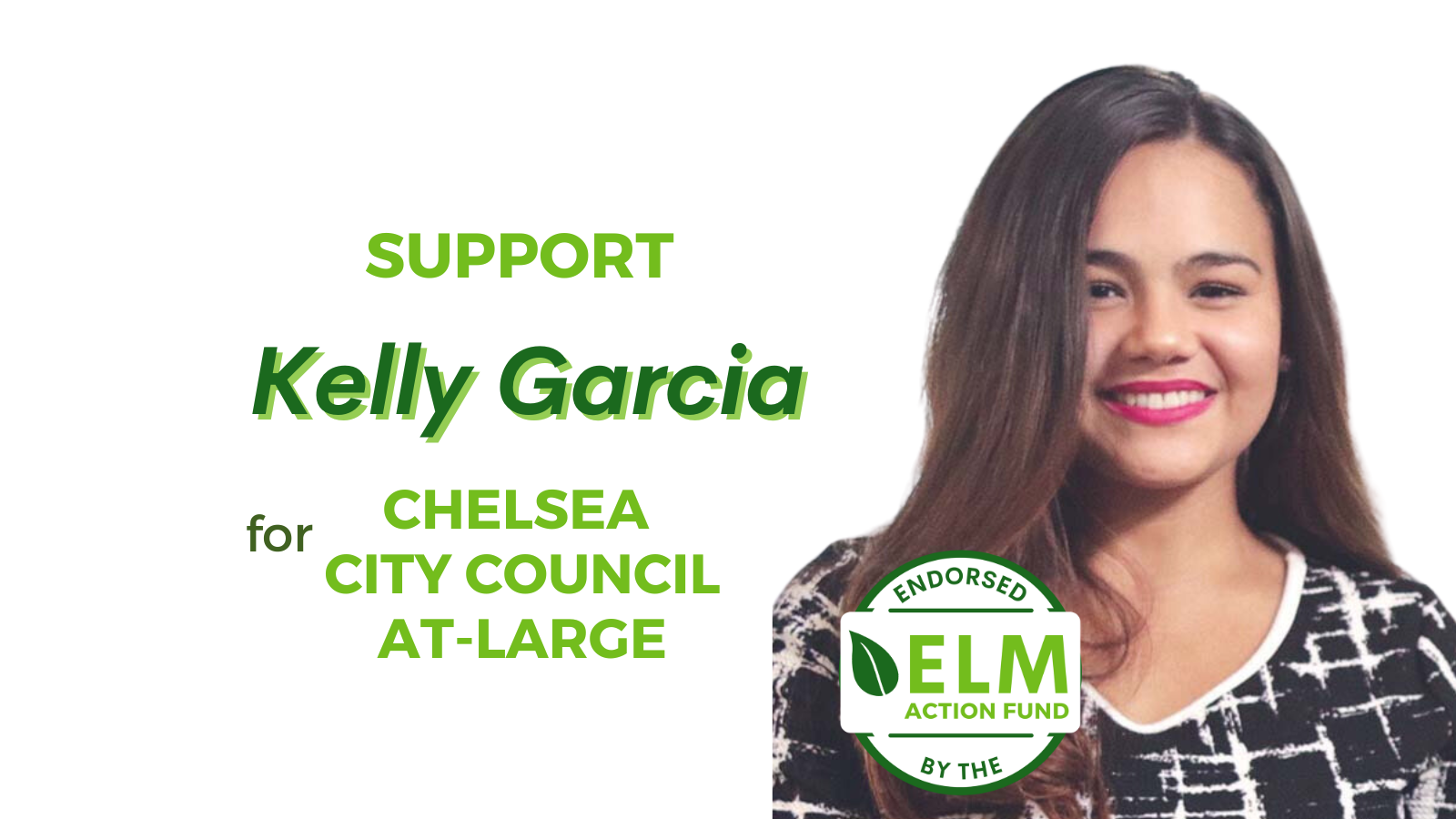 Environmental League of Massachusetts Action Fund, Inc.