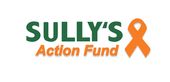 Sullivan's Gun Violence Prevention Small Donor Committee