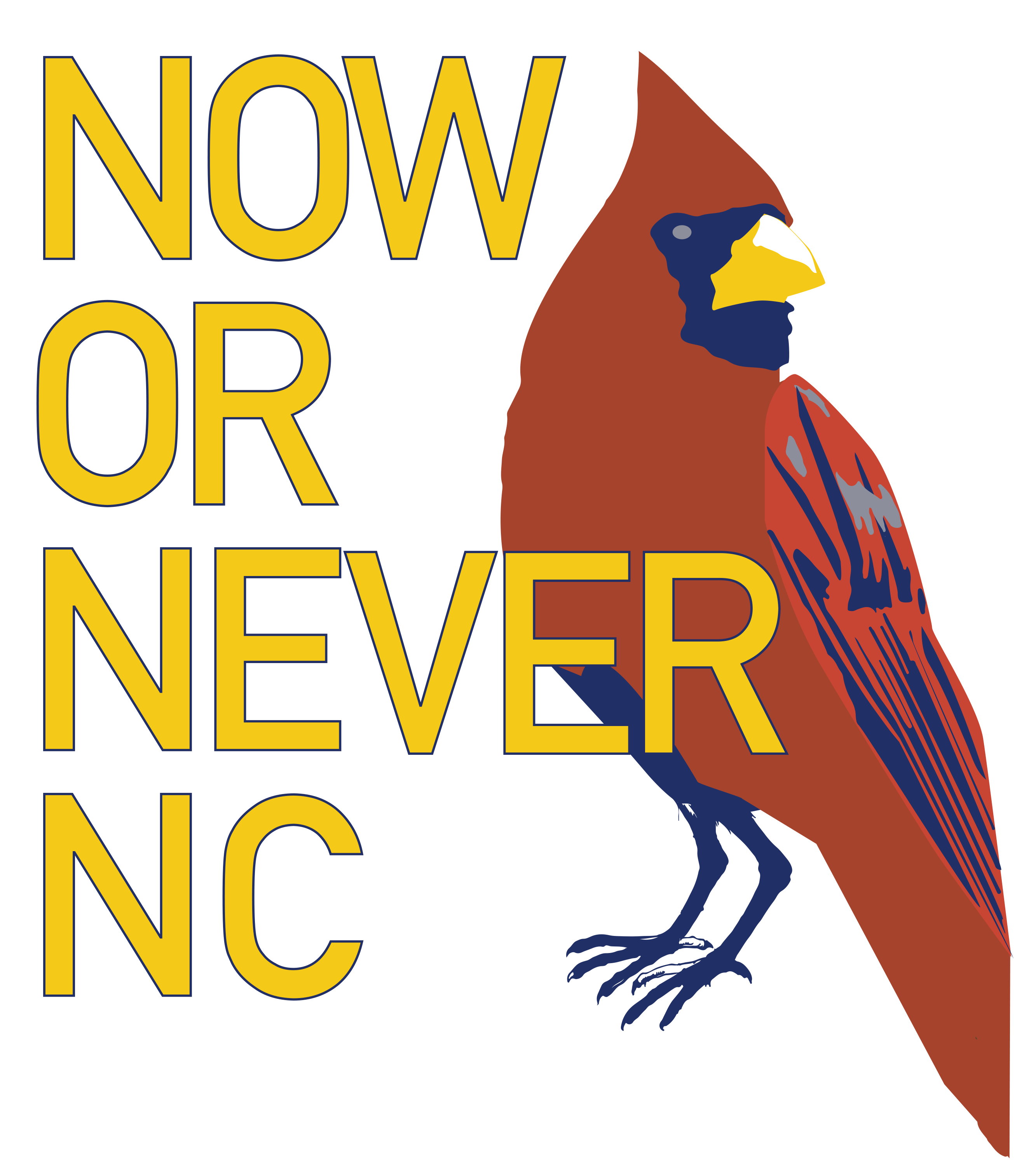 Now or Never NC