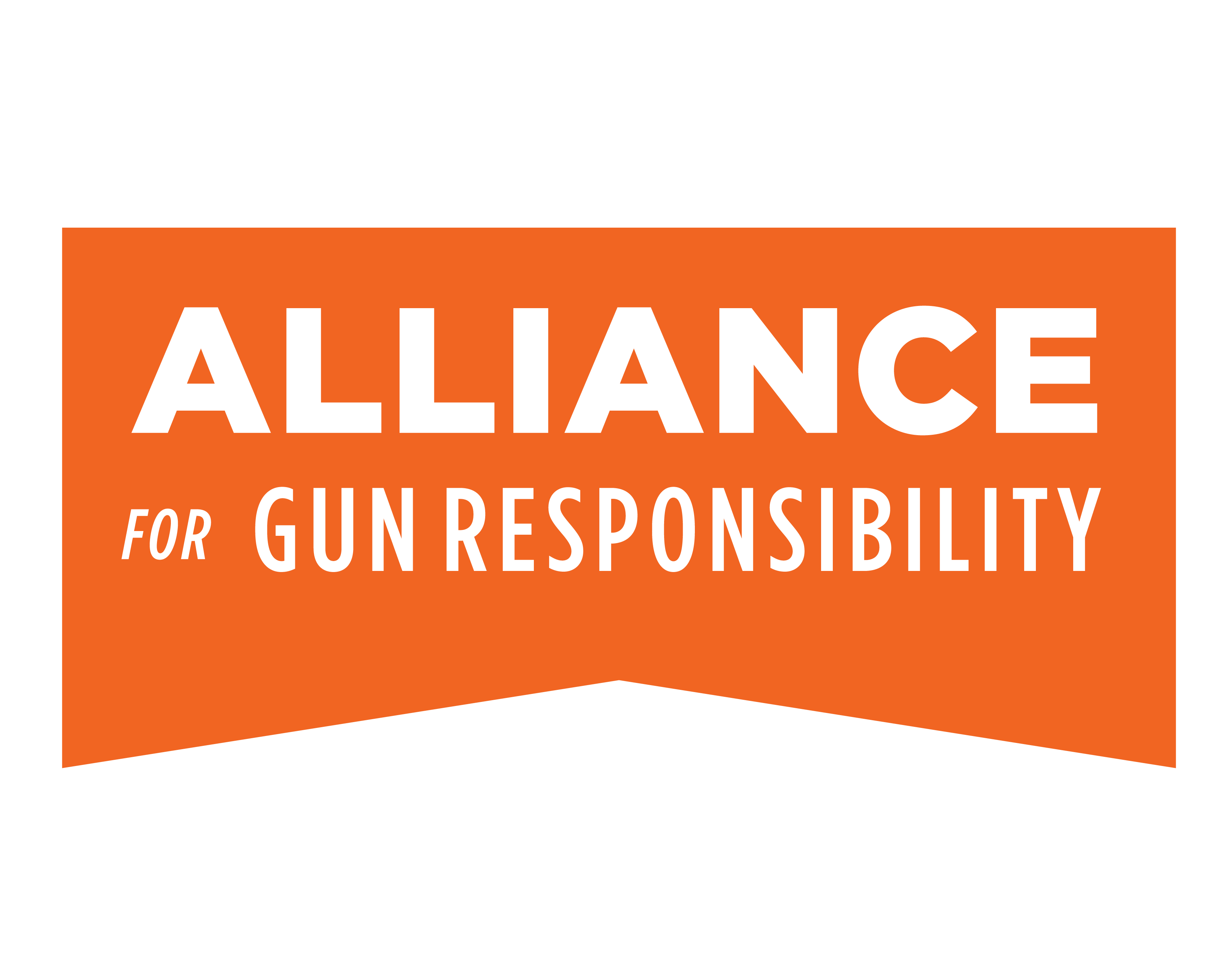 Alliance for Gun Responsibility Foundation
