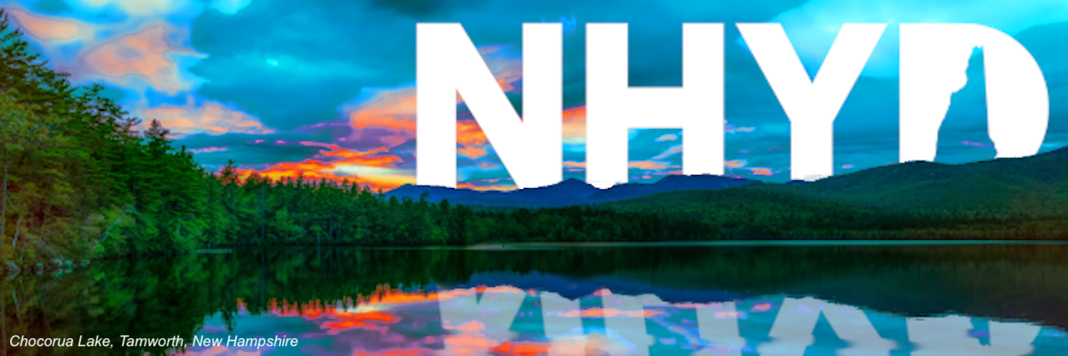 NH Young Democrats