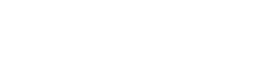 Momentum